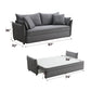 Pull Out Sleep Sofa With Storage